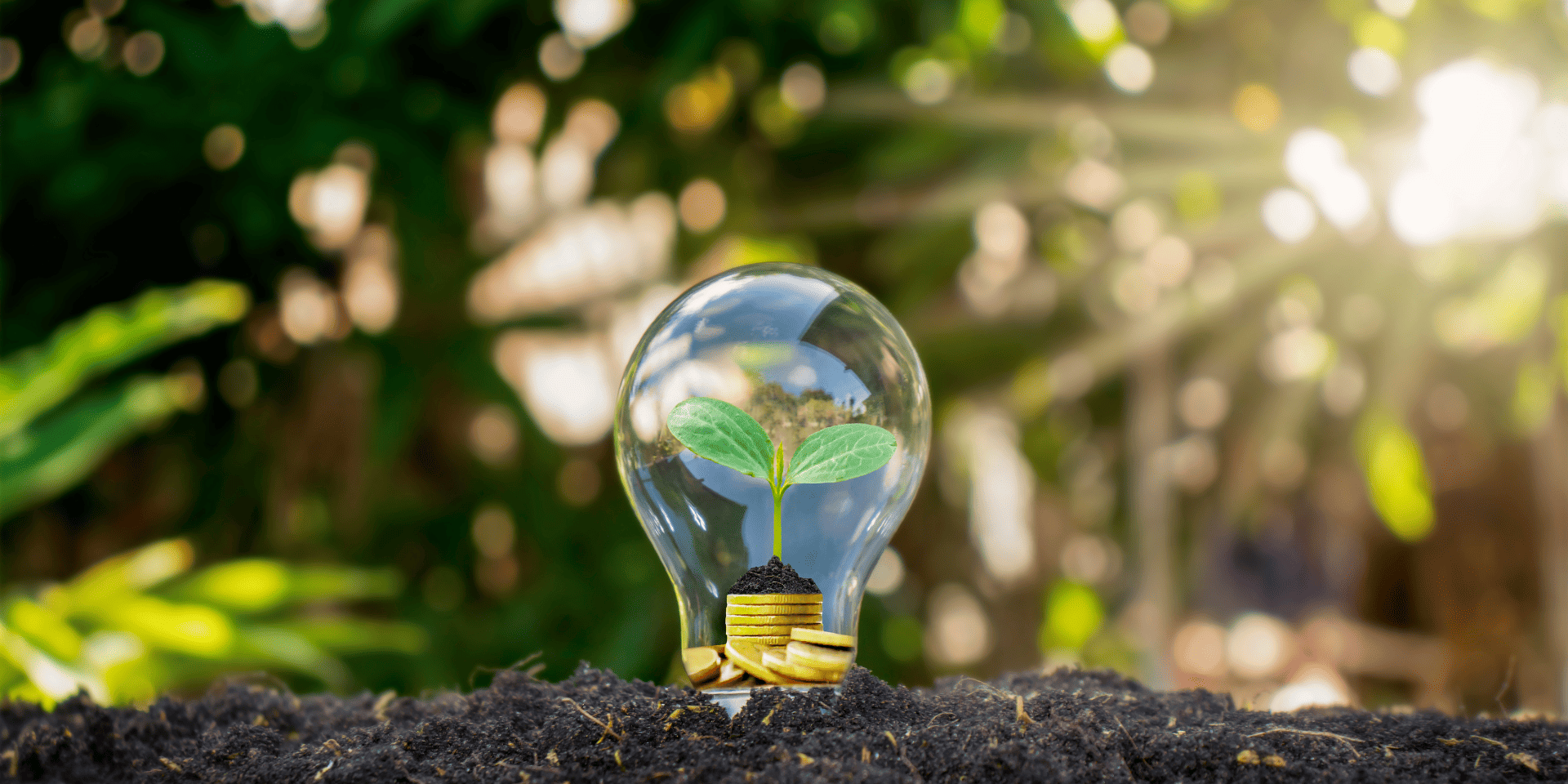 risparmio-energetico